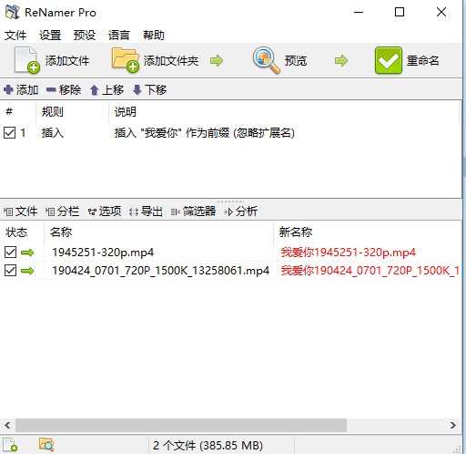 文件批量重命名工具ReNamer v7.7.0.1绿色便携版